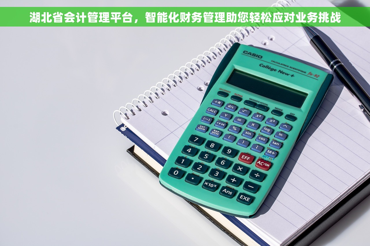 湖北省会计管理平台，智能化财务管理助您轻松应对业务挑战