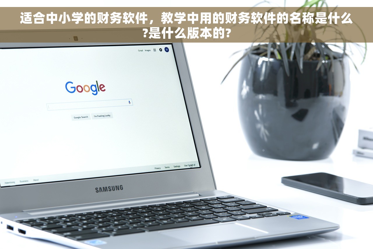 适合中小学的财务软件，教学中用的财务软件的名称是什么?是什么版本的?