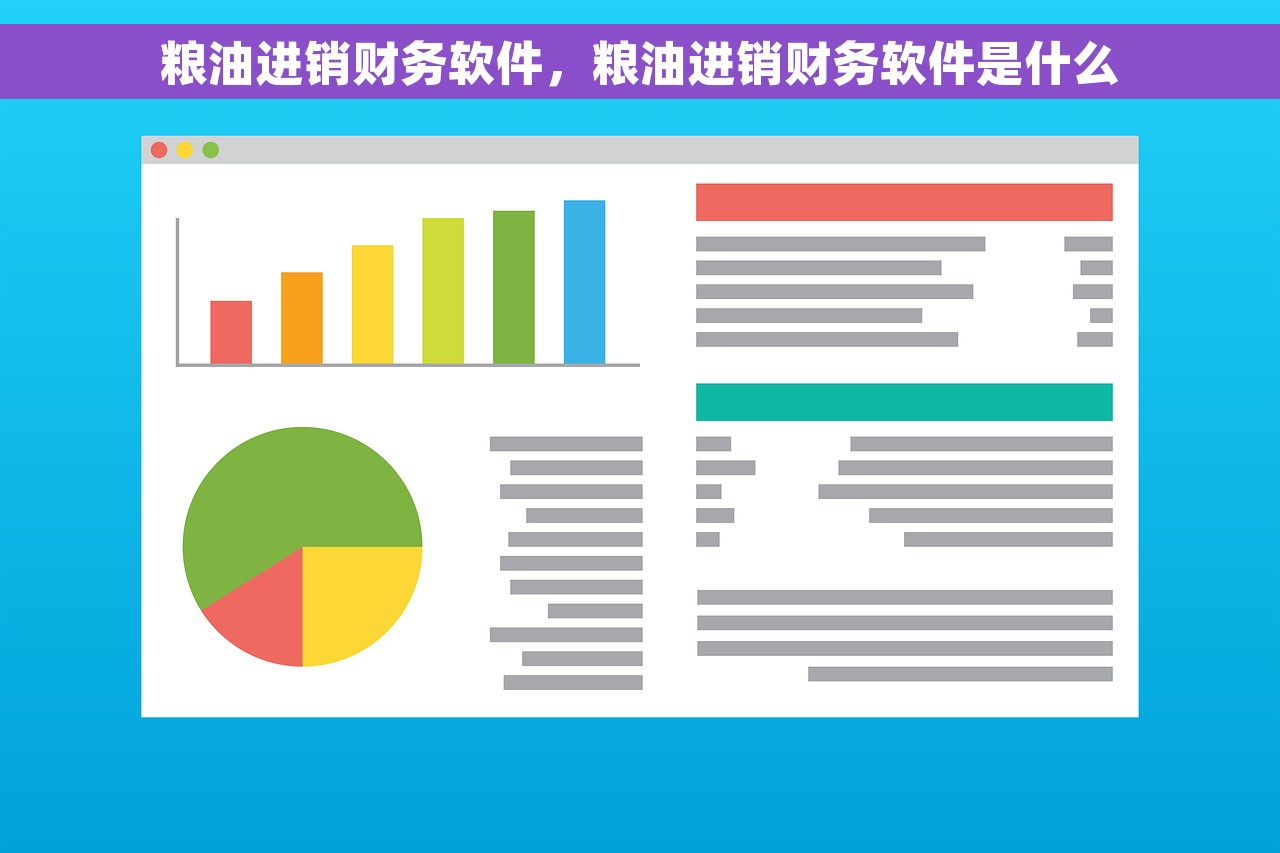 粮油进销财务软件，粮油进销财务软件是什么