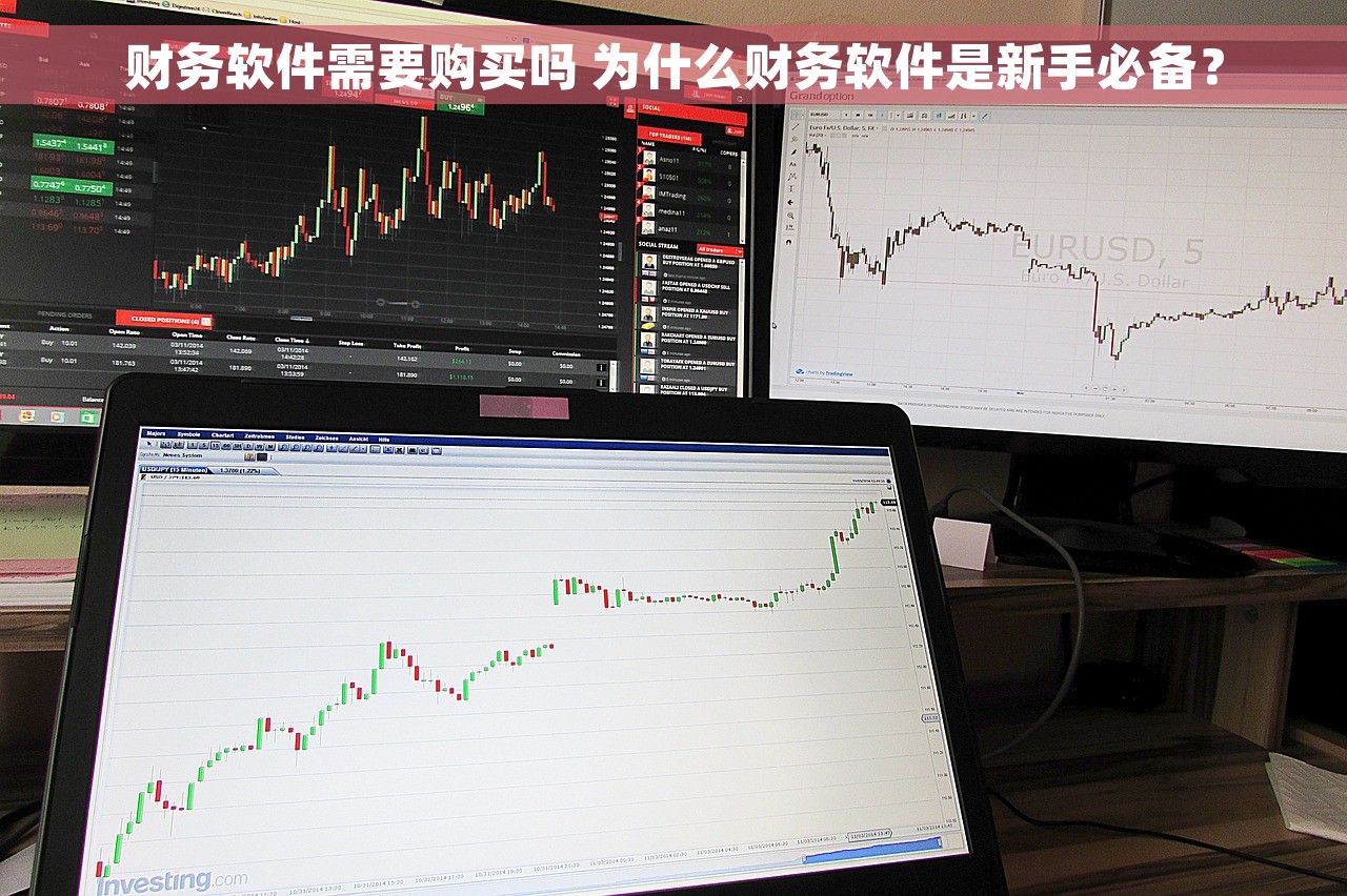 财务软件需要购买吗 为什么财务软件是新手必备？