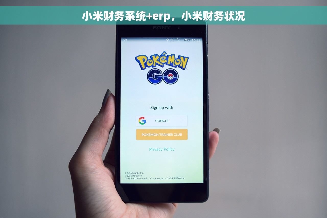 小米财务系统+erp，小米财务状况