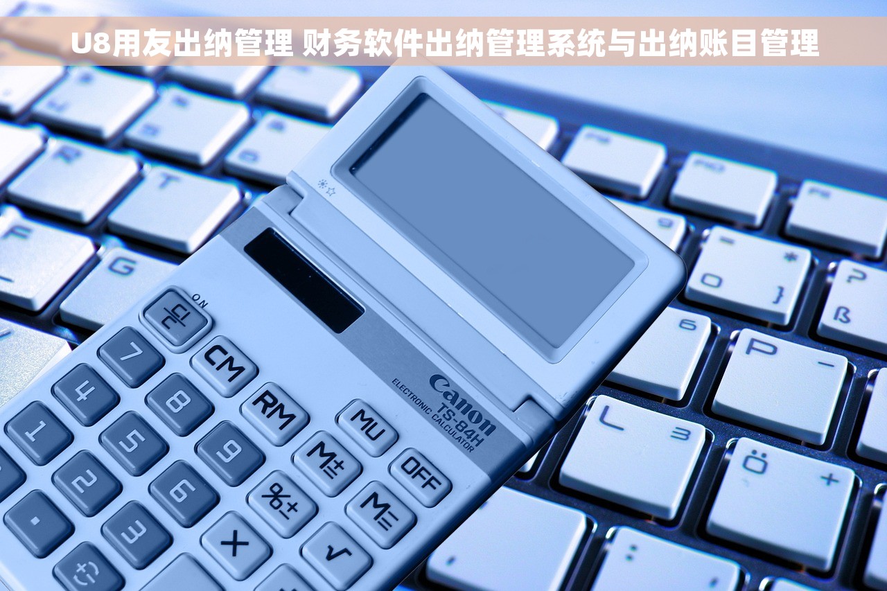 U8用友出纳管理 财务软件出纳管理系统与出纳账目管理