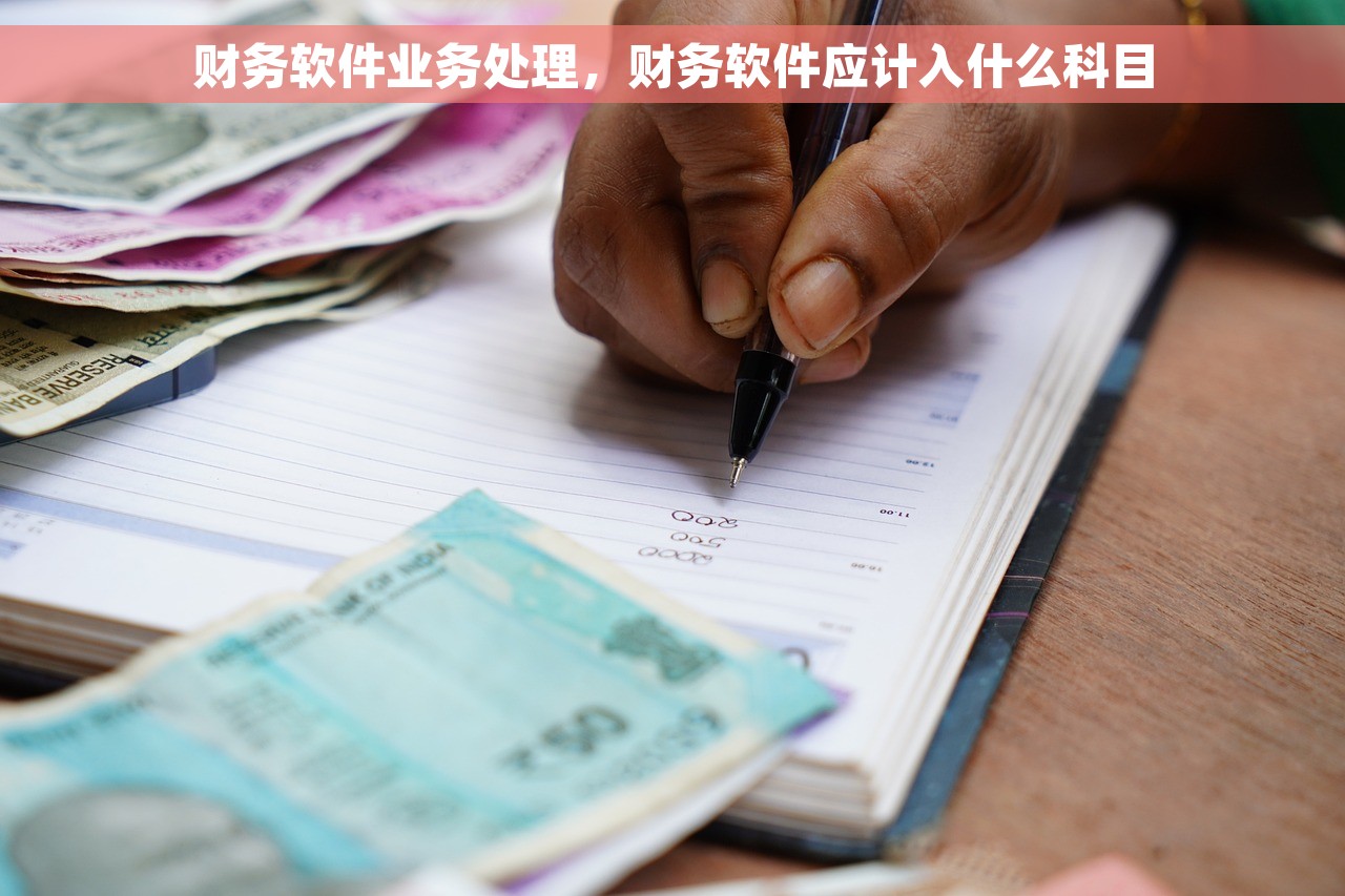 财务软件业务处理，财务软件应计入什么科目