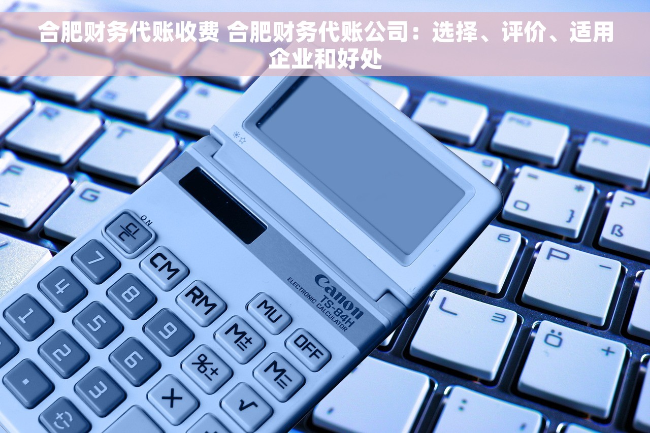 合肥财务代账收费 合肥财务代账公司：选择、评价、适用企业和好处