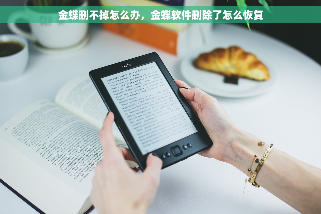金蝶删不掉怎么办，金蝶软件删除了怎么恢复