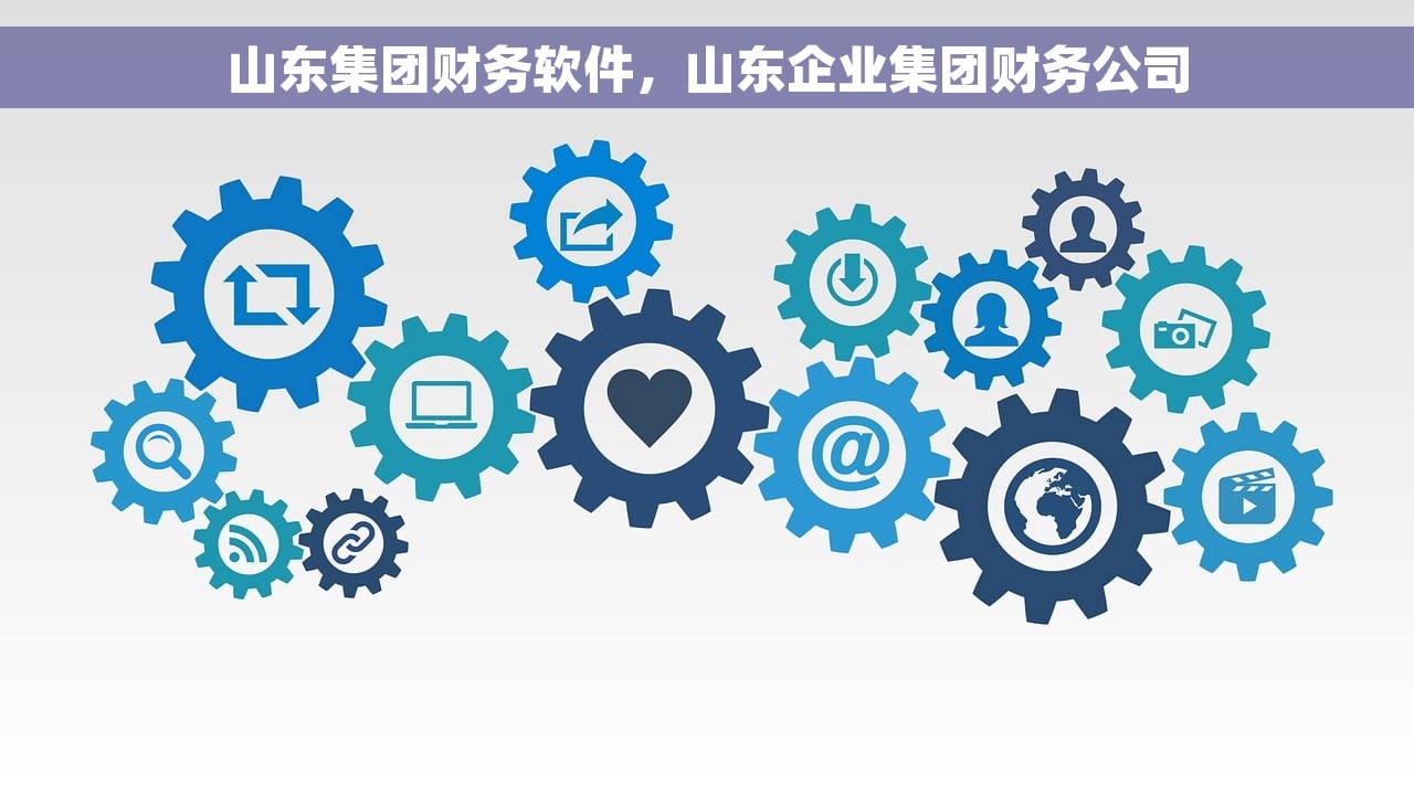 山东集团财务软件，山东企业集团财务公司