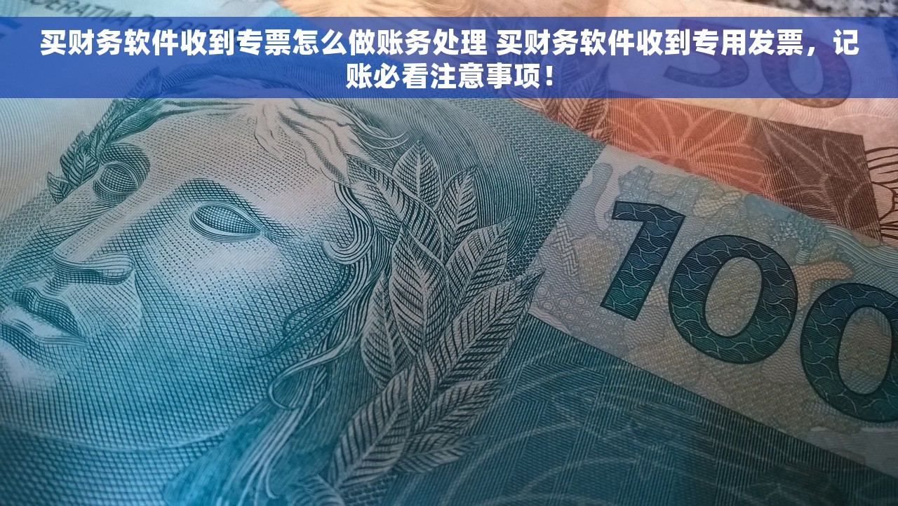 买财务软件收到专票怎么做账务处理 买财务软件收到专用发票，记账必看注意事项！