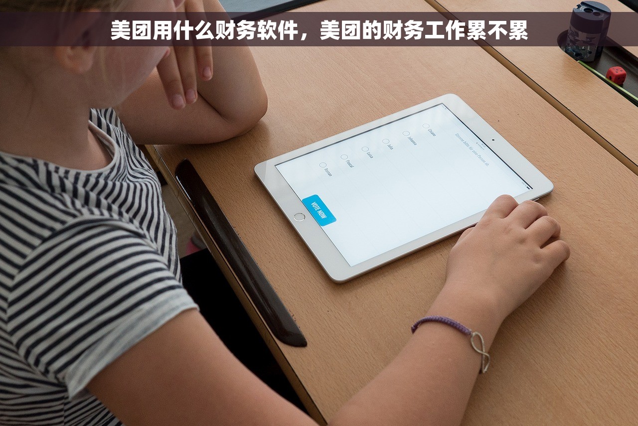 美团用什么财务软件，美团的财务工作累不累