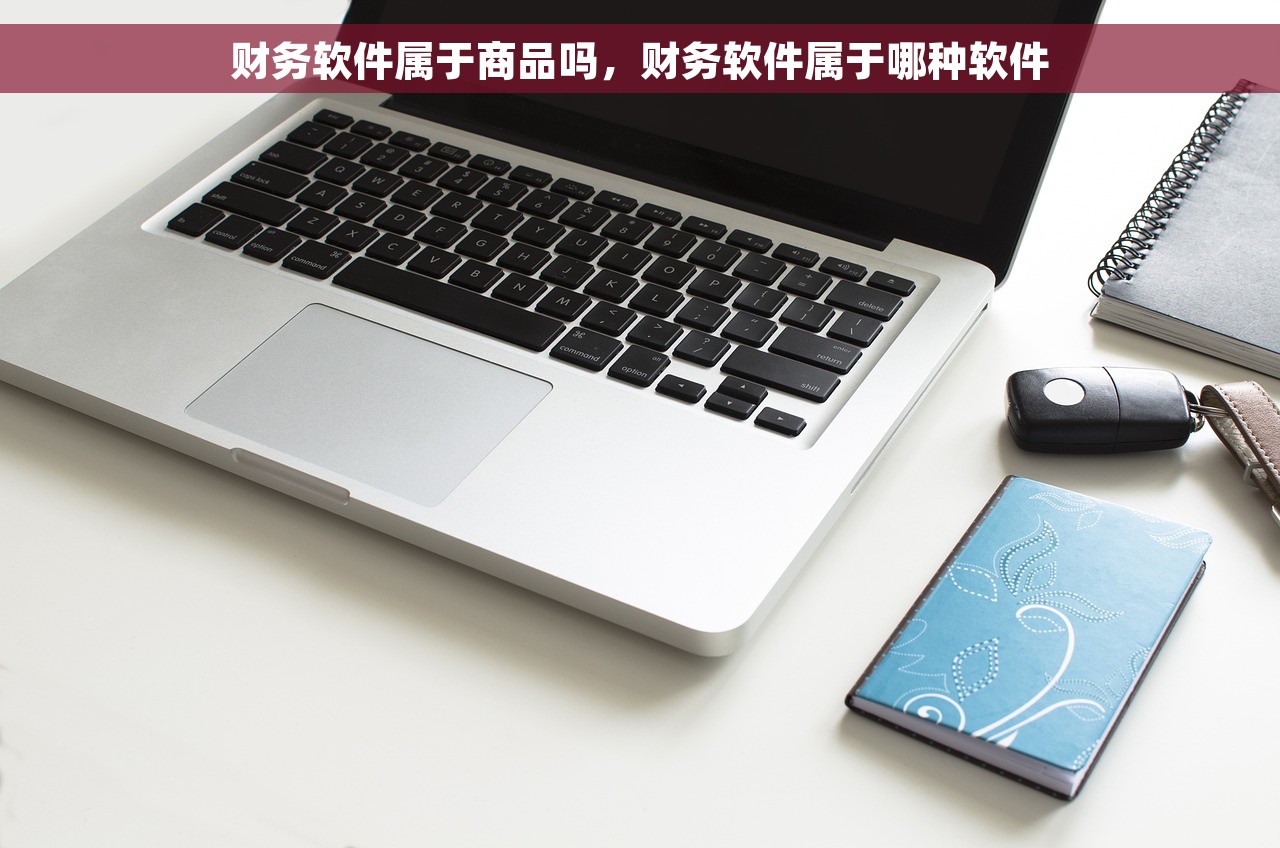财务软件属于商品吗，财务软件属于哪种软件