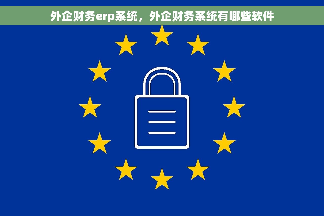 外企财务erp系统，外企财务系统有哪些软件