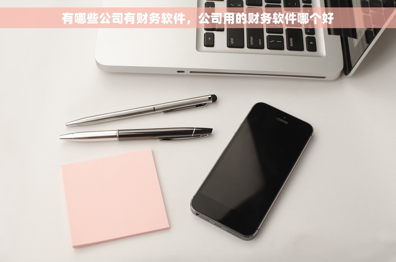 有哪些公司有财务软件，公司用的财务软件哪个好