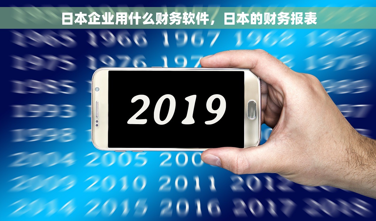 日本企业用什么财务软件，日本的财务报表