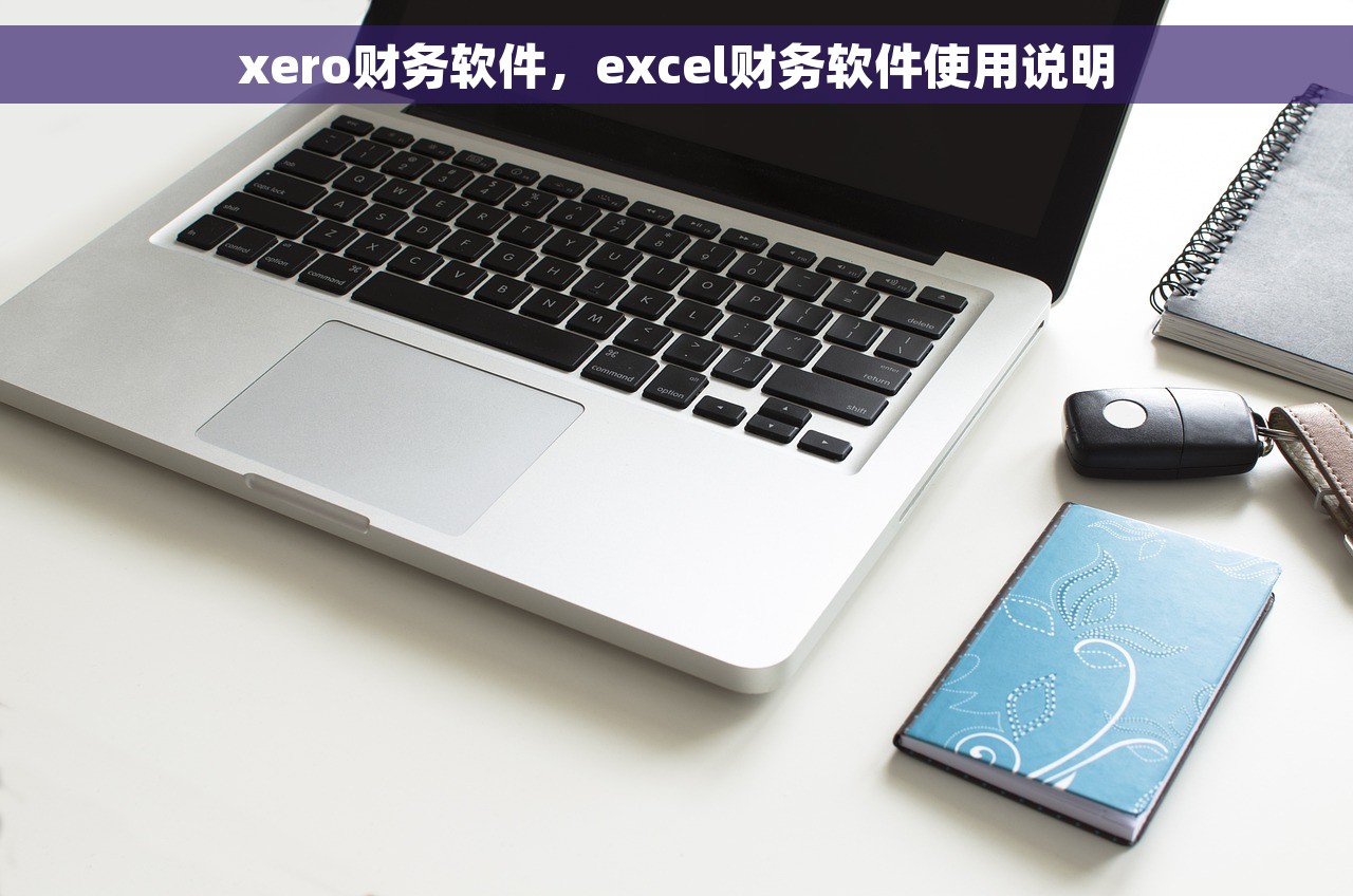 xero财务软件，excel财务软件使用说明