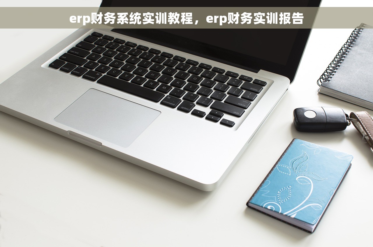 erp财务系统实训教程，erp财务实训报告
