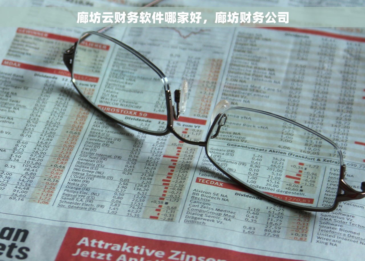 廊坊云财务软件哪家好，廊坊财务公司