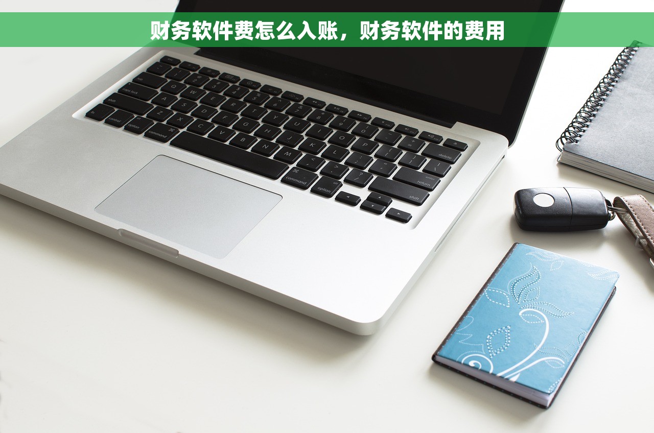 财务软件费怎么入账，财务软件的费用