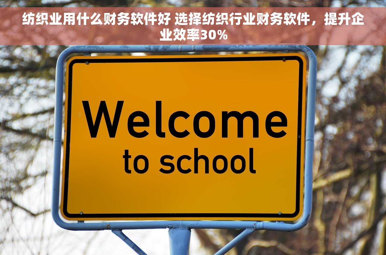 财务管理增效 小微企业主财务管理效率提升神器：告别繁琐记账，生意保驾护航