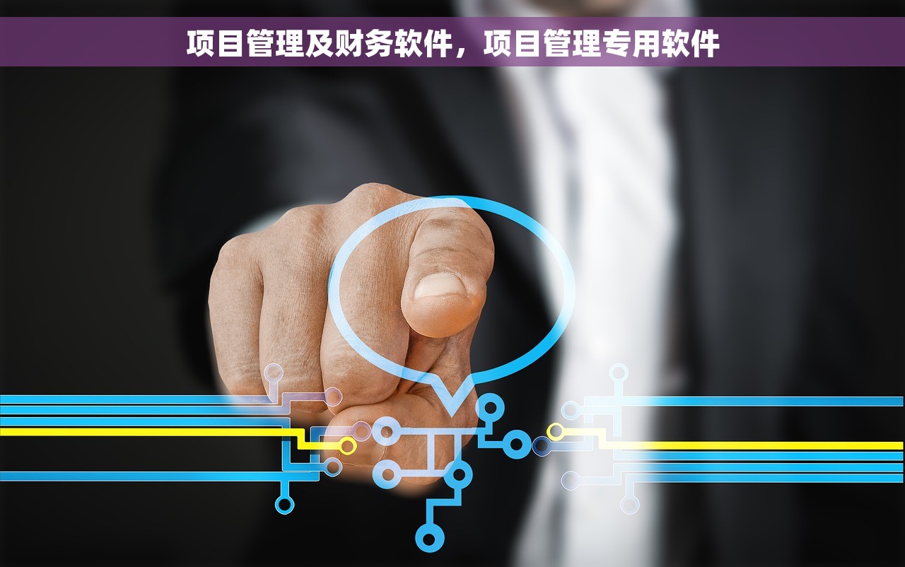 项目管理及财务软件，项目管理专用软件