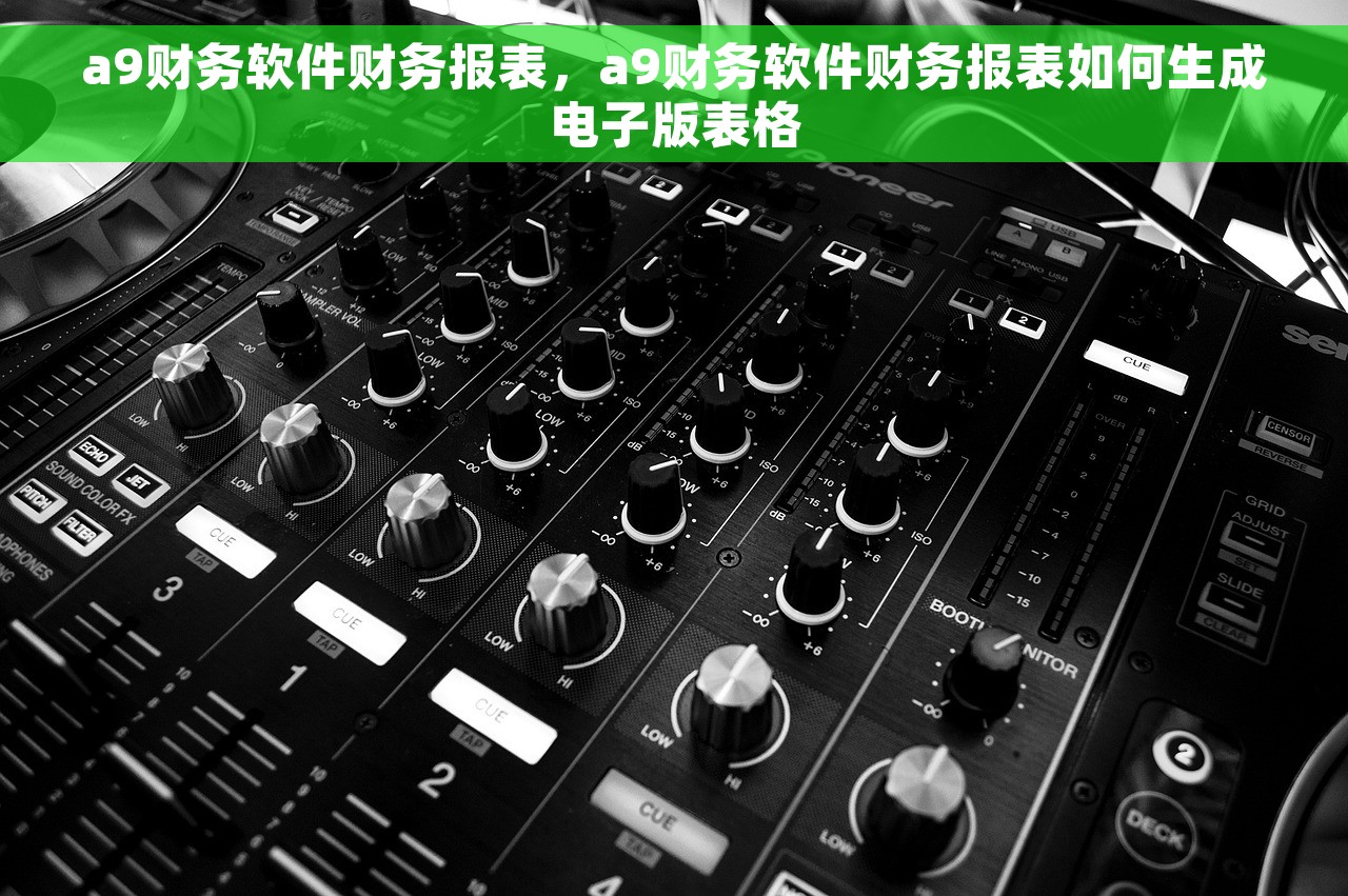 a9财务软件财务报表，a9财务软件财务报表如何生成电子版表格