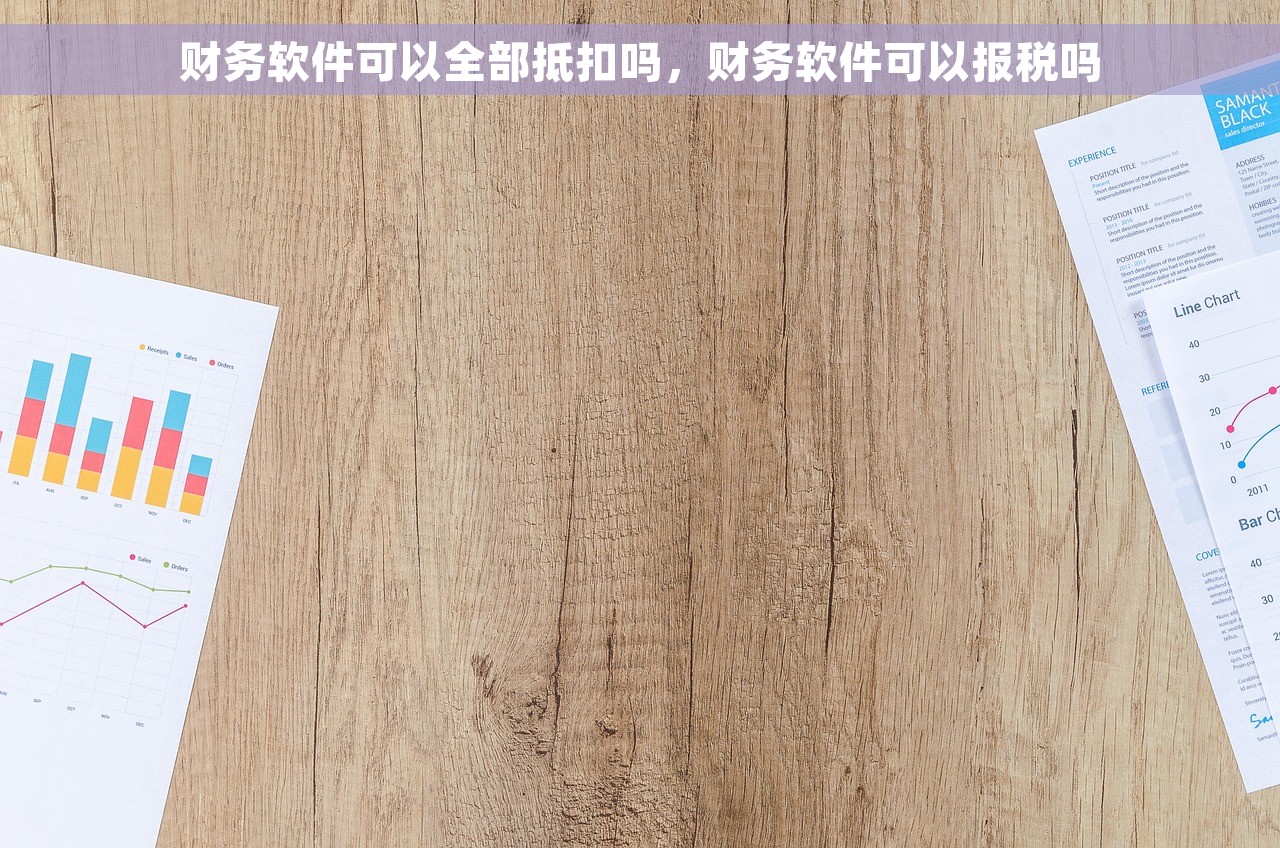 财务软件可以全部抵扣吗，财务软件可以报税吗