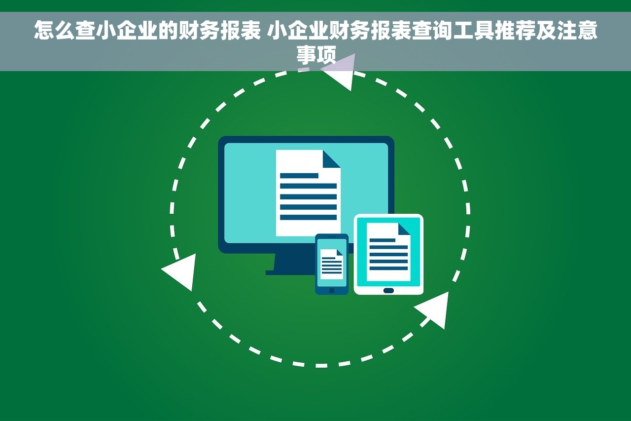 怎么查小企业的财务报表 小企业财务报表查询工具推荐及注意事项