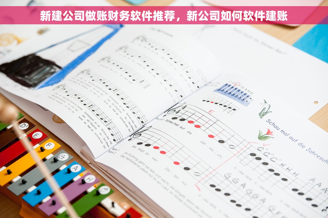 新建公司做账财务软件推荐，新公司如何软件建账