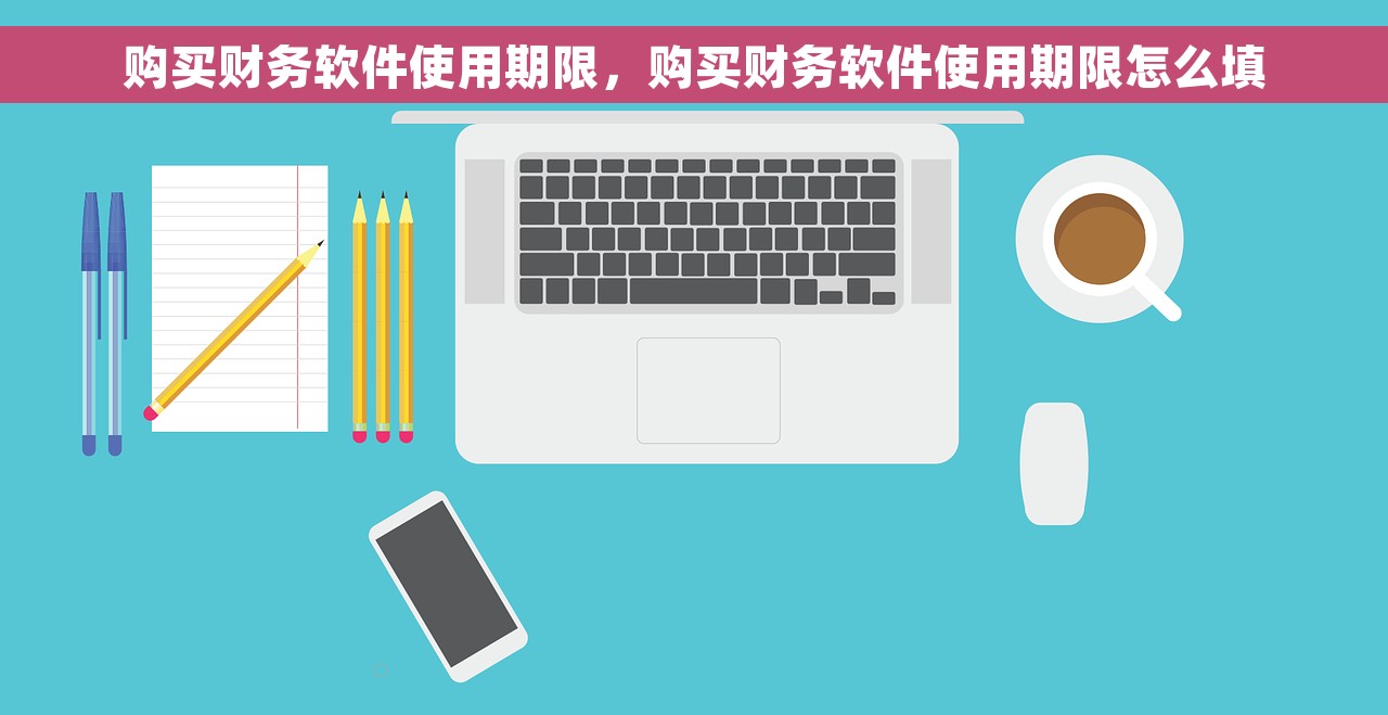 购买财务软件使用期限，购买财务软件使用期限怎么填