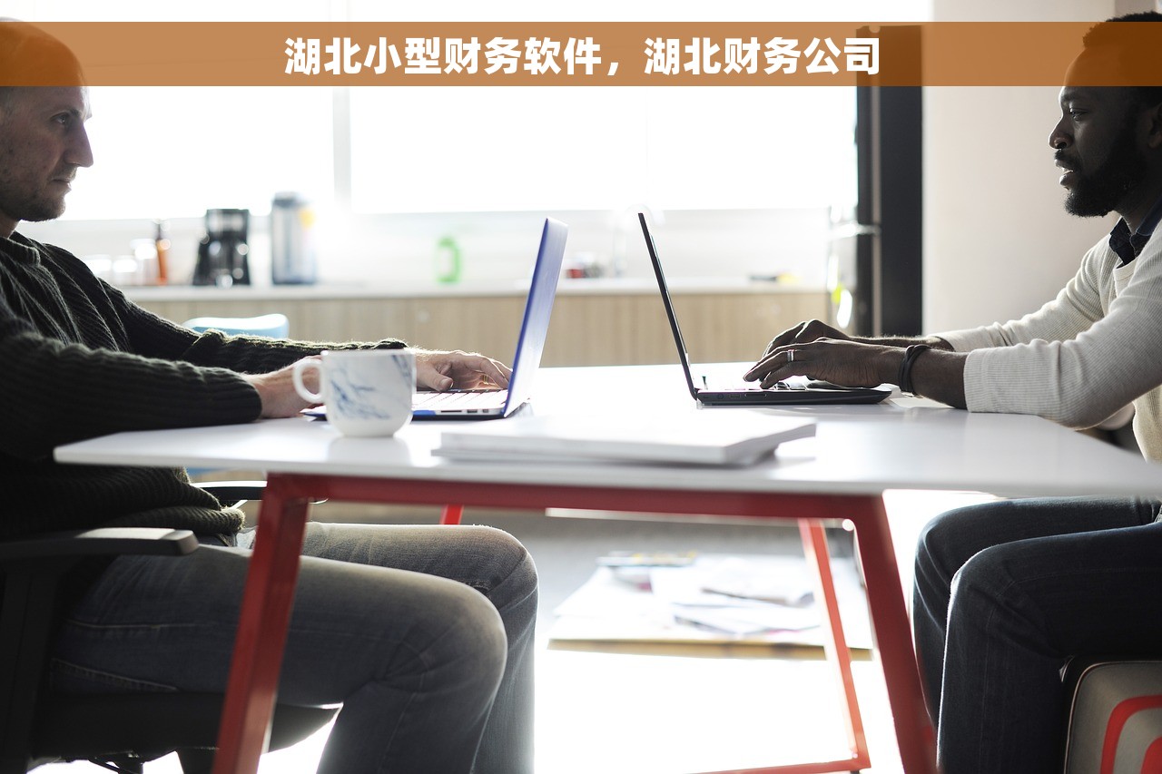 便捷完成红字发票正数报税流程