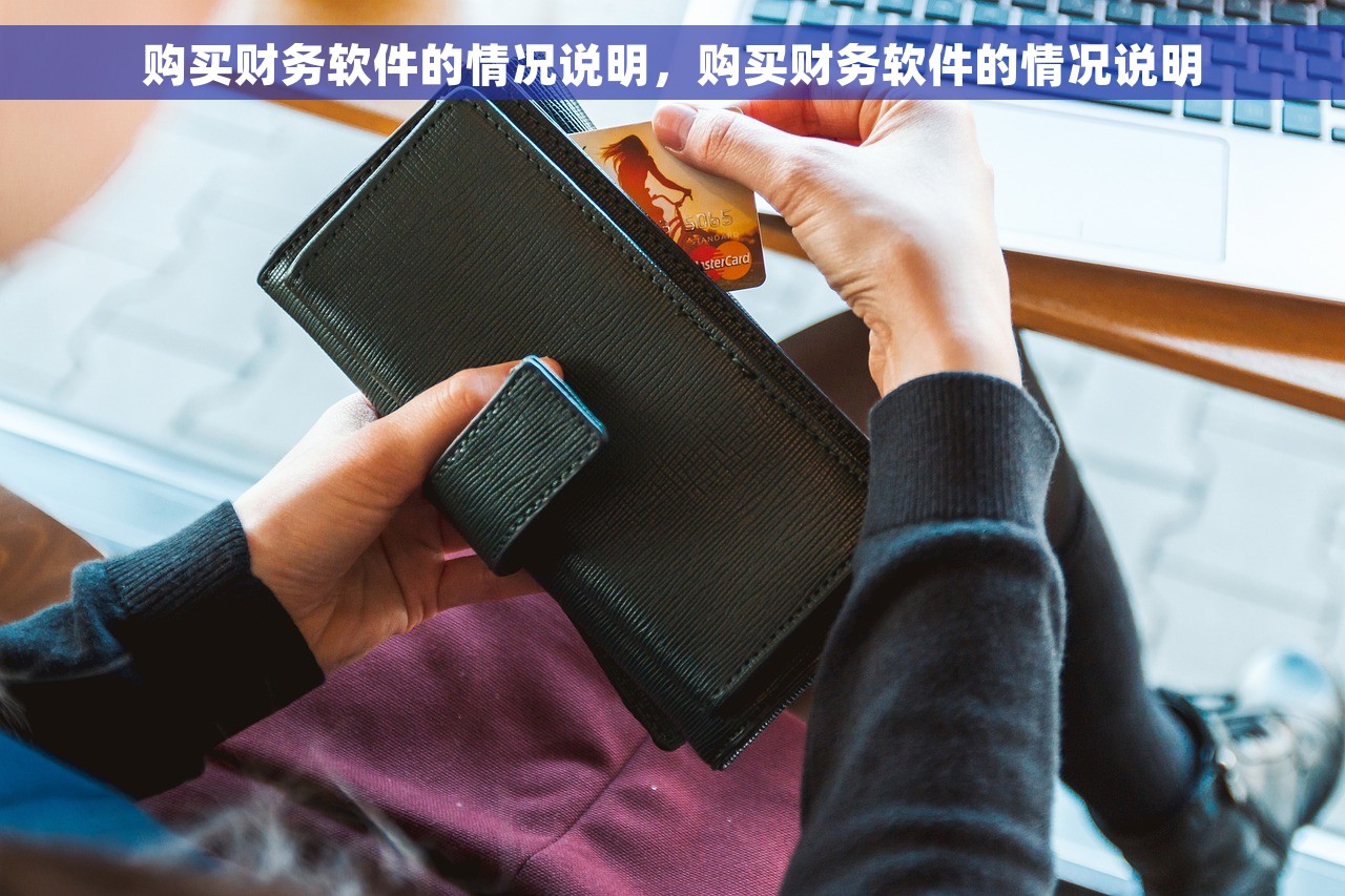 购买财务软件的情况说明，购买财务软件的情况说明