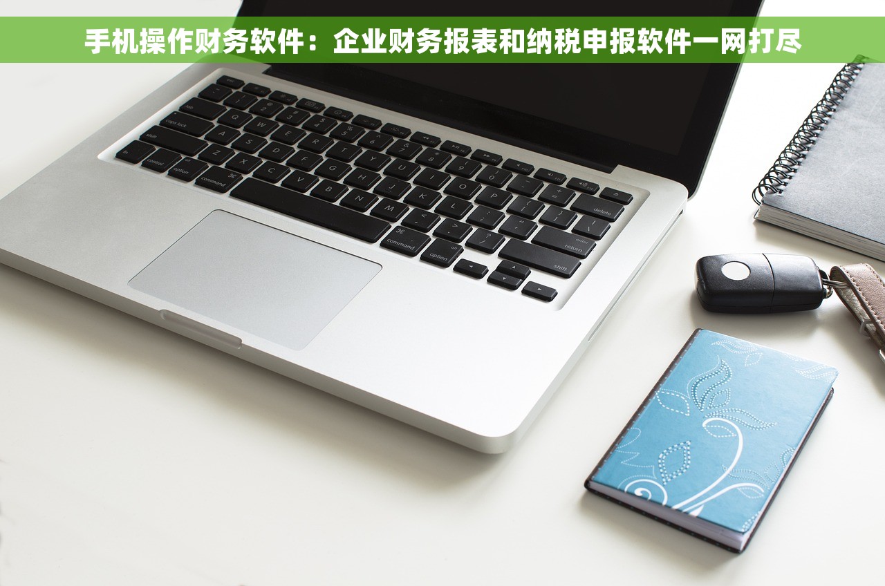 手机操作财务软件：企业财务报表和纳税申报软件一网打尽