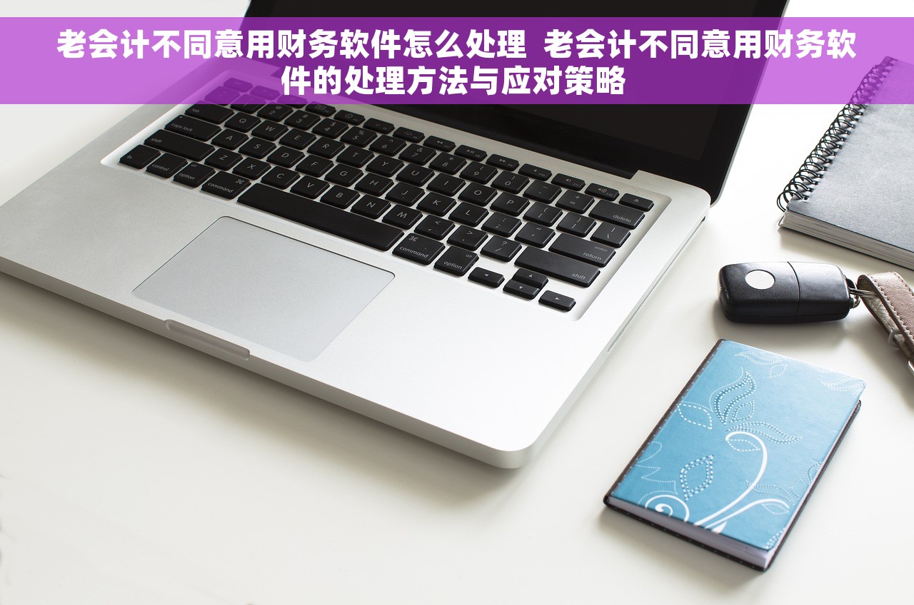 老会计不同意用财务软件怎么处理  老会计不同意用财务软件的处理方法与应对策略 