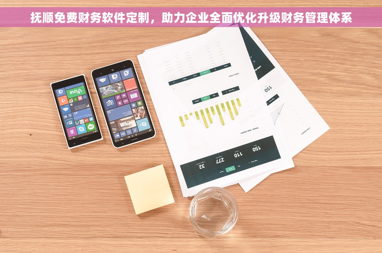 抚顺免费财务软件定制，助力企业全面优化升级财务管理体系