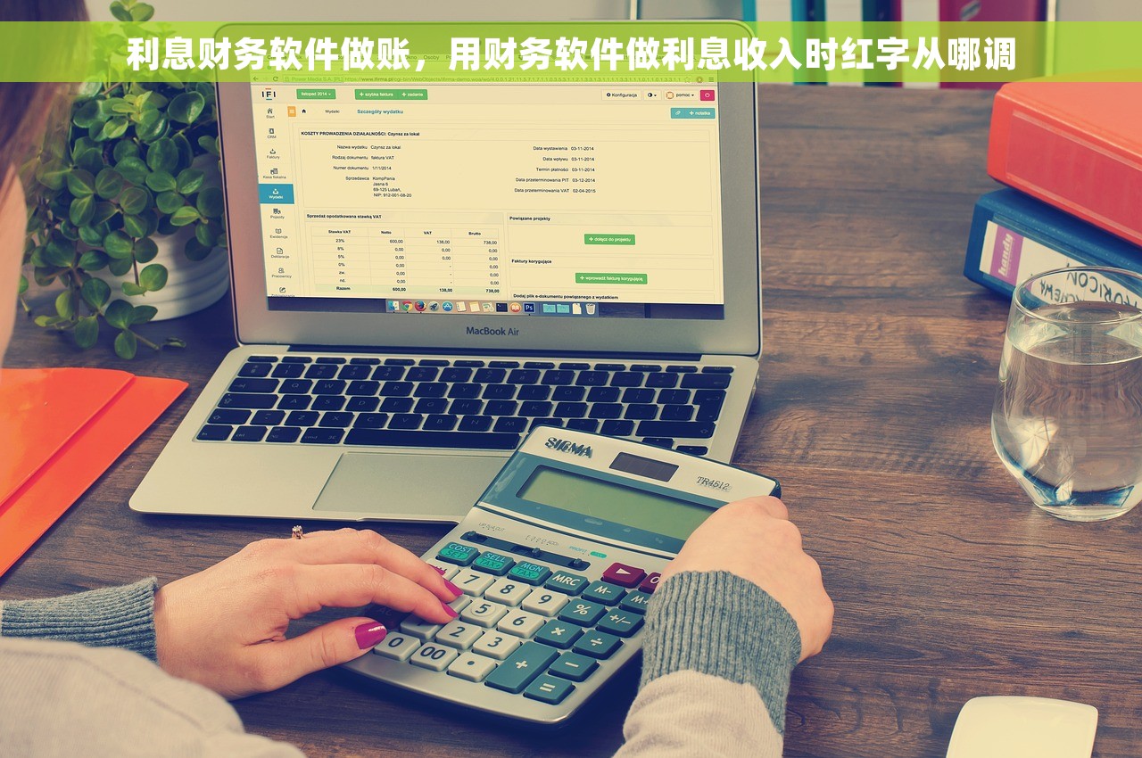 利息财务软件做账，用财务软件做利息收入时红字从哪调