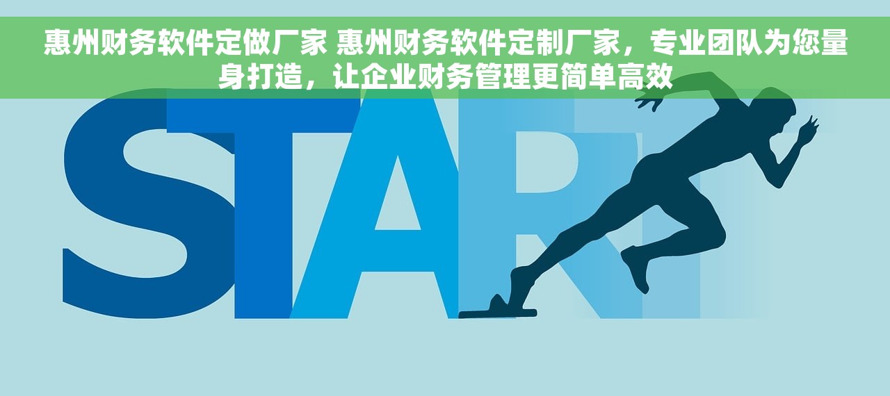 惠州财务软件定做厂家 惠州财务软件定制厂家，专业团队为您量身打造，让企业财务管理更简单高效