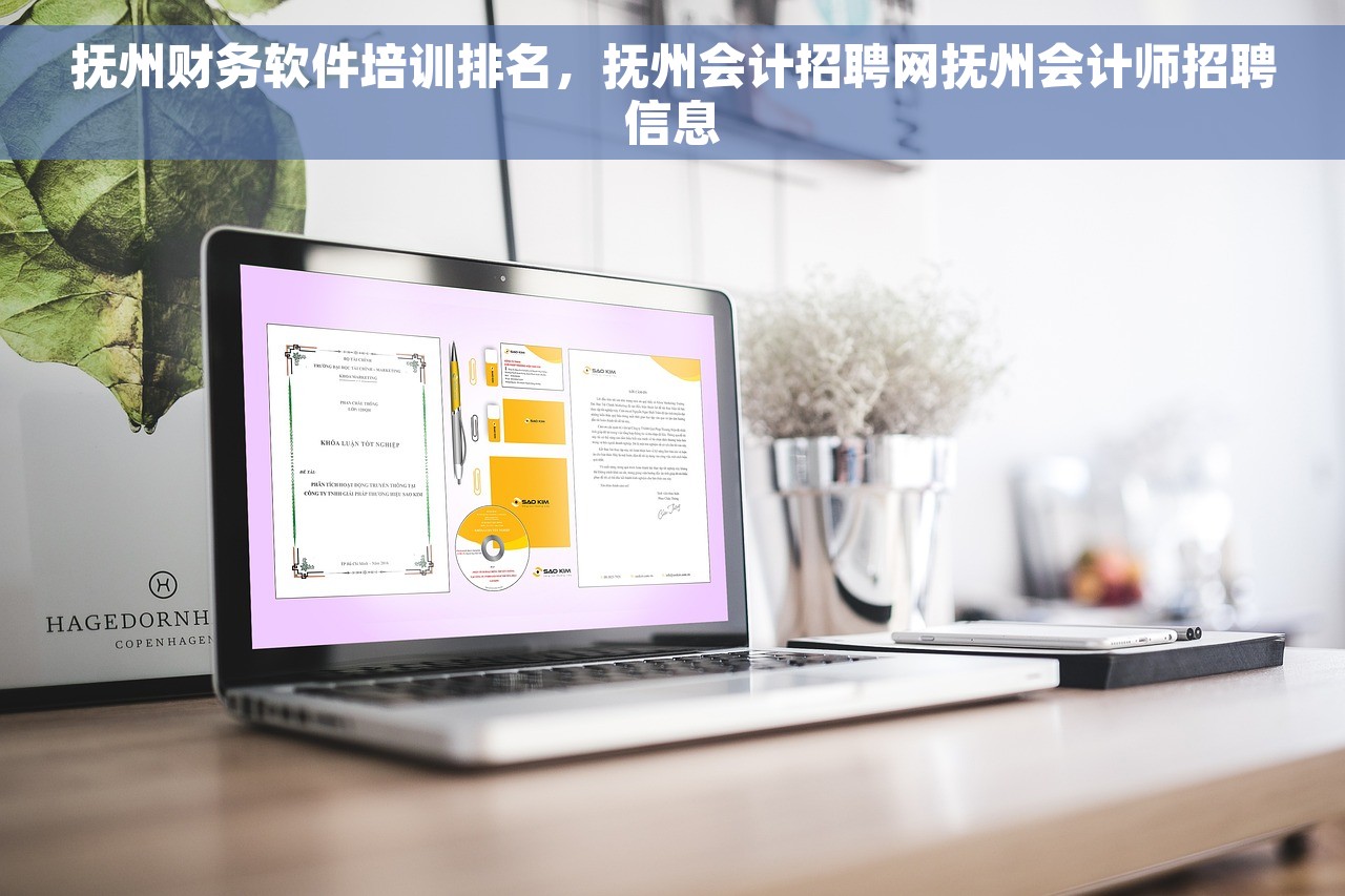  知了会计软件最新手册下载及咨询技巧，轻松掌握财务操作和解决问题 