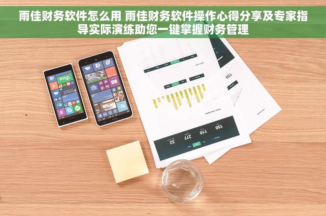 雨佳财务软件怎么用 雨佳财务软件操作心得分享及专家指导实际演练助您一键掌握财务管理