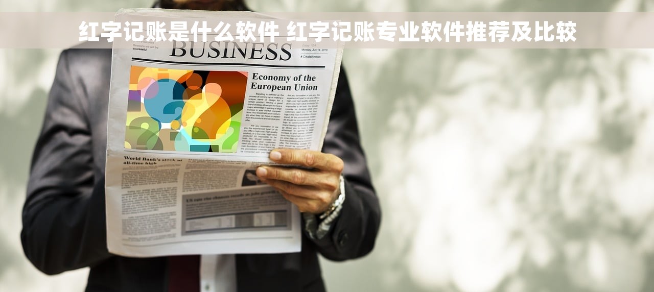 红字记账是什么软件 红字记账专业软件推荐及比较