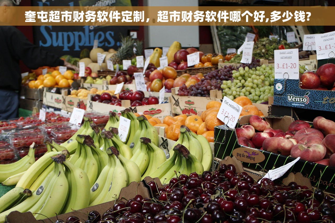 奎屯超市财务软件定制，超市财务软件哪个好,多少钱?