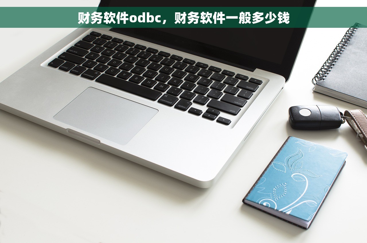 财务软件odbc，财务软件一般多少钱