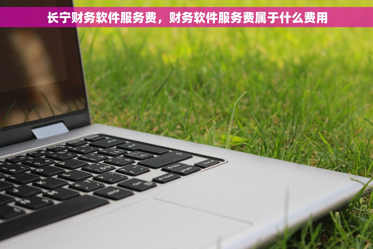 长宁财务软件服务费，财务软件服务费属于什么费用