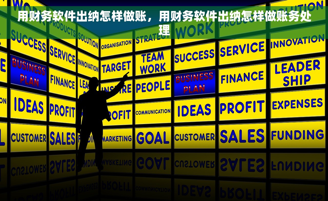 用财务软件出纳怎样做账，用财务软件出纳怎样做账务处理