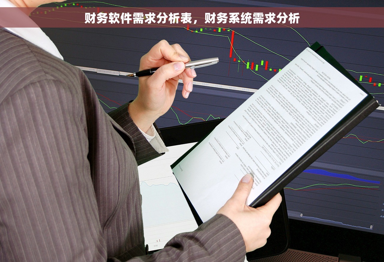 财务软件需求分析表，财务系统需求分析