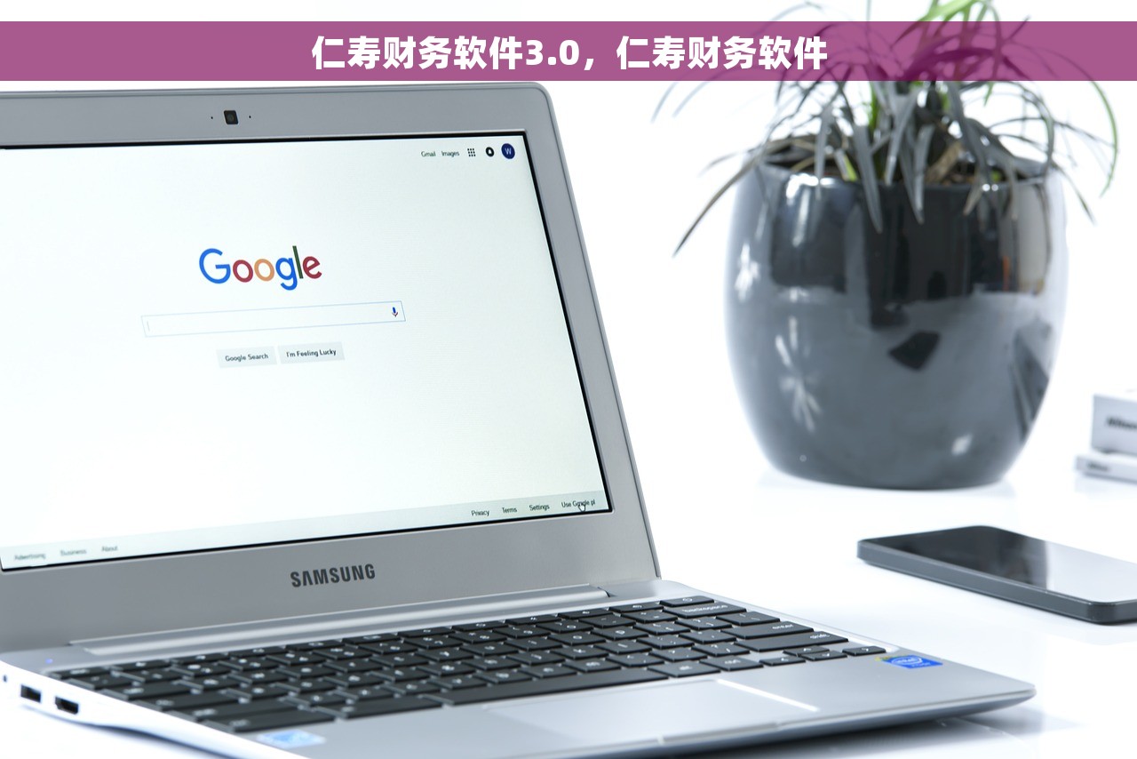 仁寿财务软件3.0，仁寿财务软件