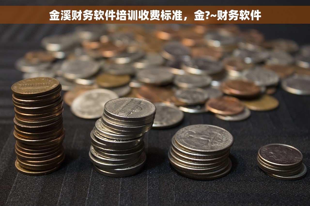金溪财务软件培训收费标准，金?~财务软件