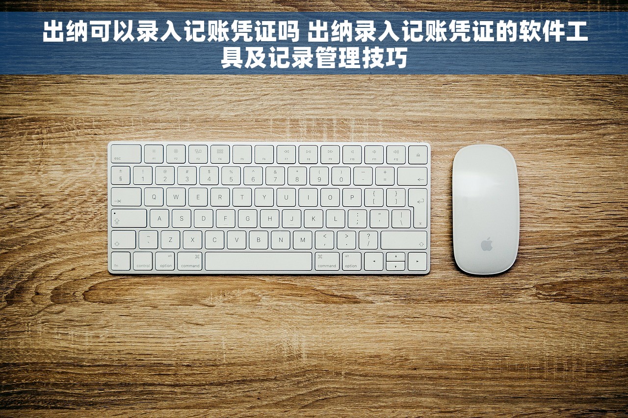 出纳可以录入记账凭证吗 出纳录入记账凭证的软件工具及记录管理技巧