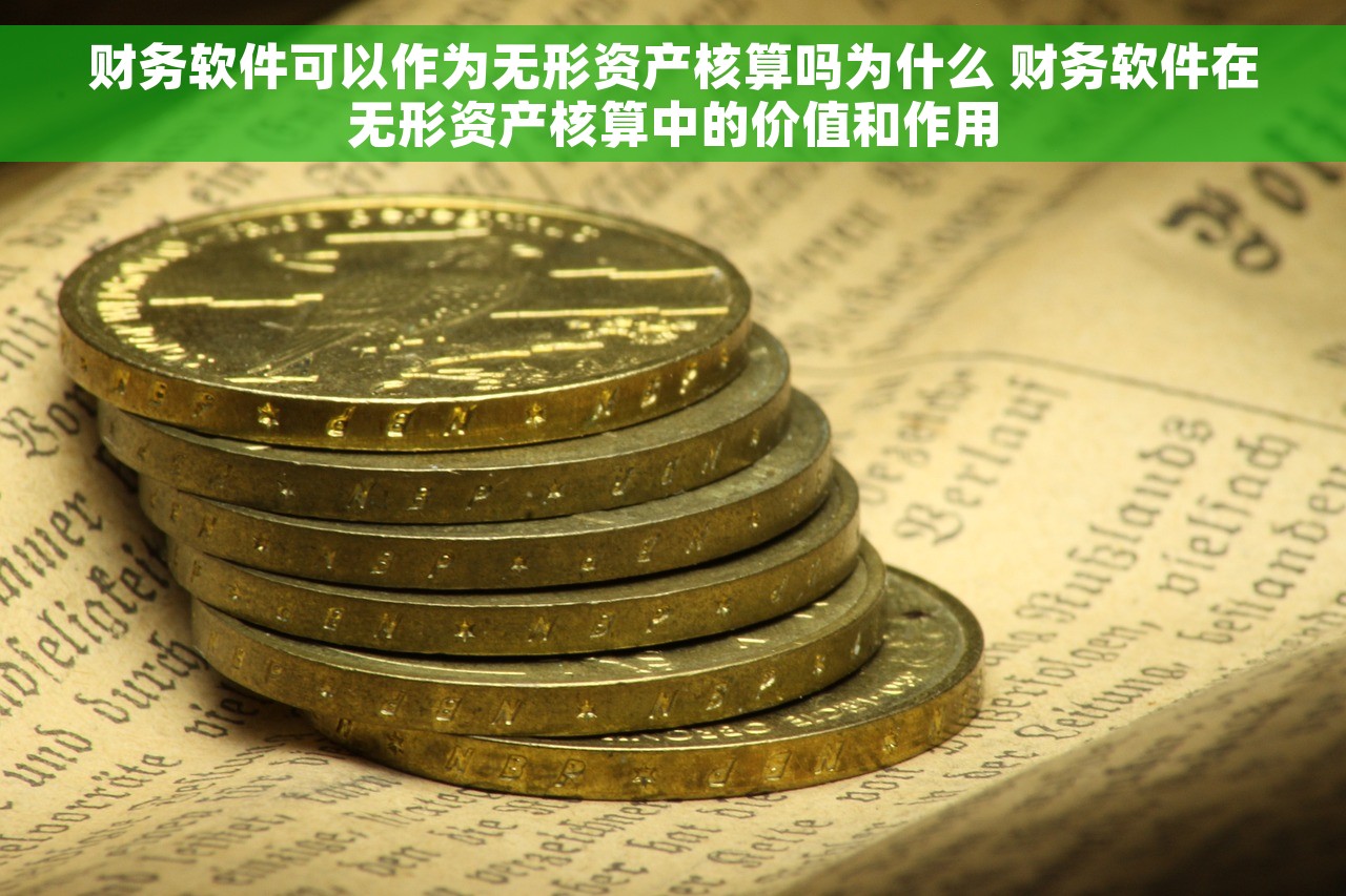 财务软件可以作为无形资产核算吗为什么 财务软件在无形资产核算中的价值和作用