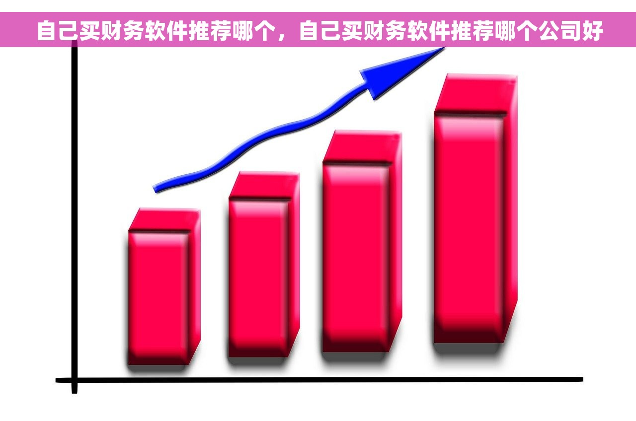 自己买财务软件推荐哪个，自己买财务软件推荐哪个公司好
