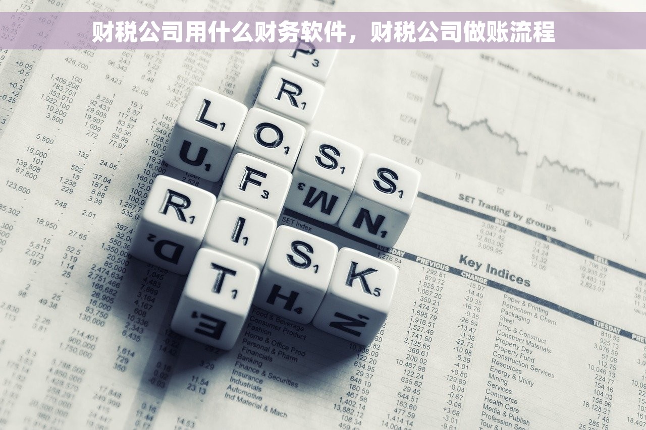财税公司用什么财务软件，财税公司做账流程