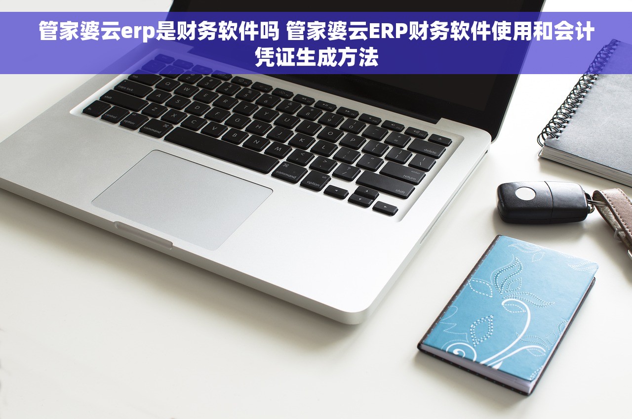 管家婆云erp是财务软件吗 管家婆云ERP财务软件使用和会计凭证生成方法