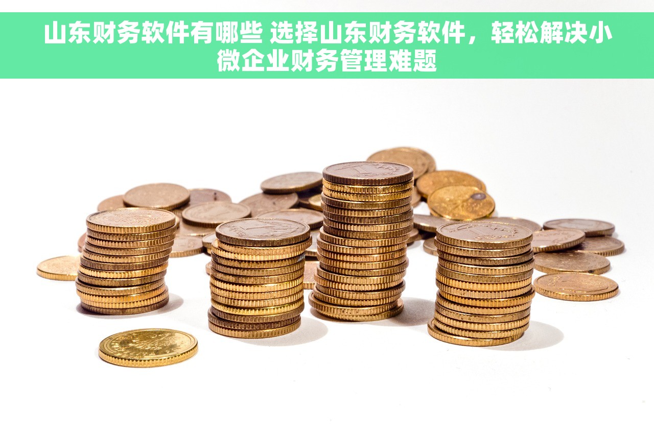 山东财务软件有哪些 选择山东财务软件，轻松解决小微企业财务管理难题